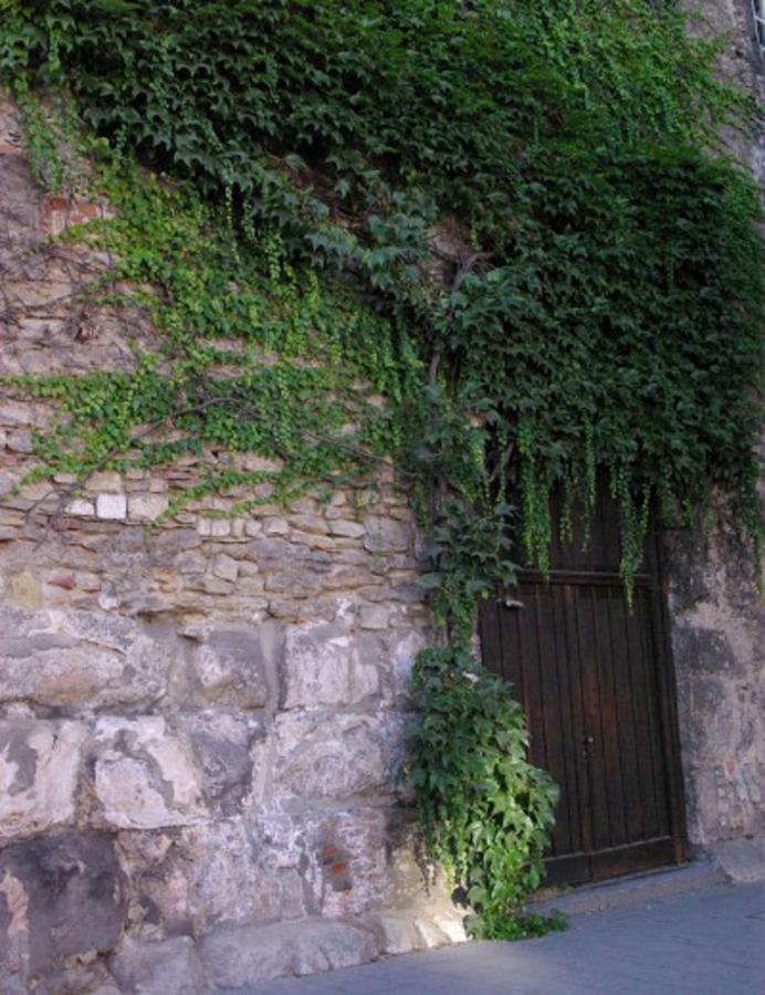 Aufhauser Hof Regensburg Bagian luar foto